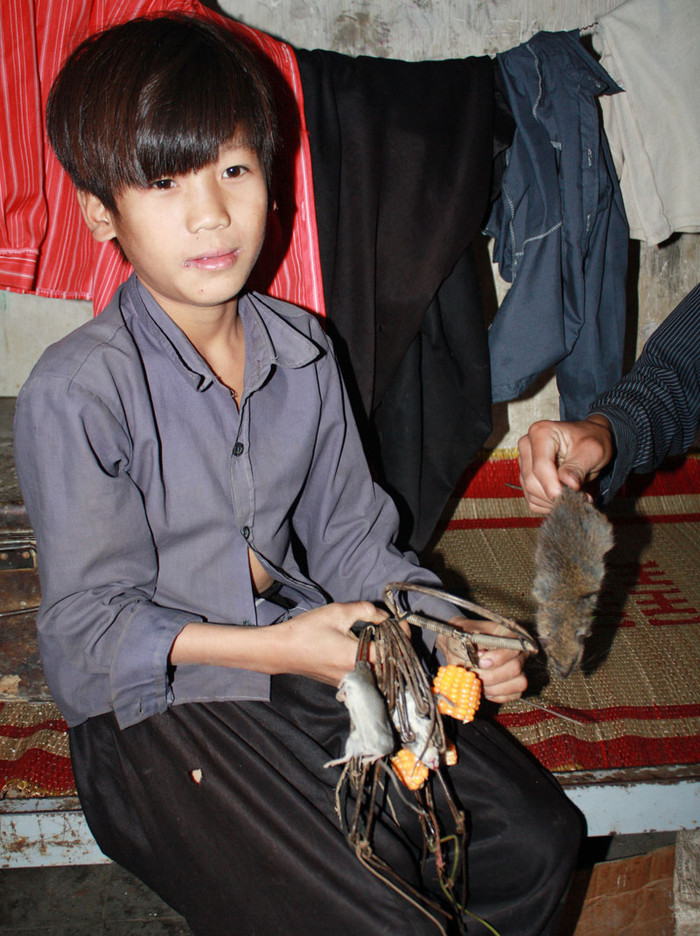 Vì phải tự túc nấu ăn theo nhóm, nên sau khi Thờ A Hờ mang chuột về nhà, các em chia mỗi người một việc. Vì phải tự túc nấu ăn theo nhóm, nên sau khi Thờ A Hờ mang chuột về nhà, các em chia mỗi người một việc.