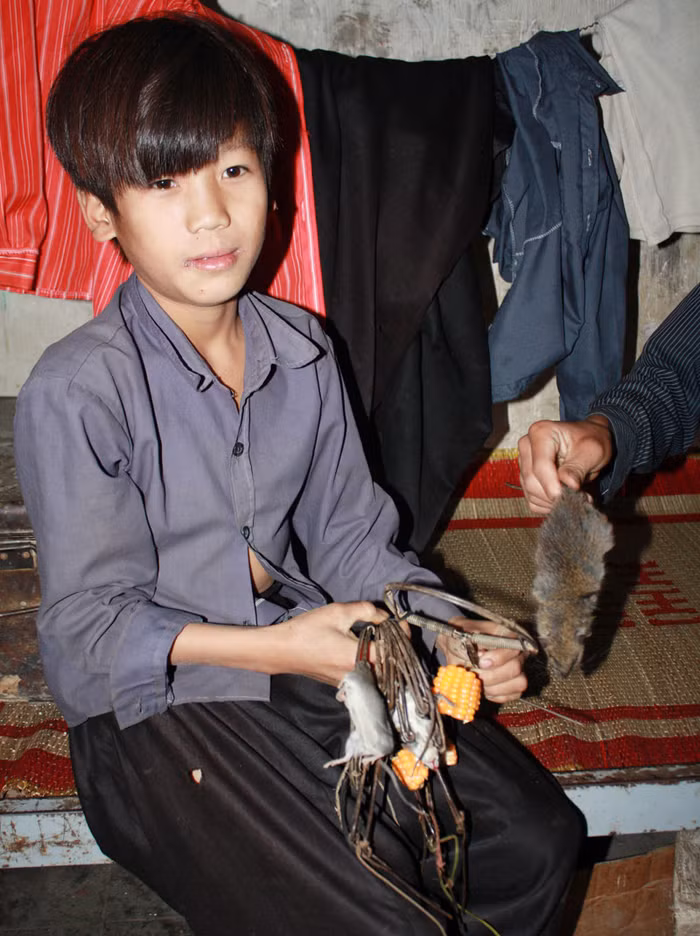 Vì phải tự túc nấu ăn theo nhóm, nên sau khi Thờ A Hờ mang chuột về nhà, các em chia mỗi người một việc.