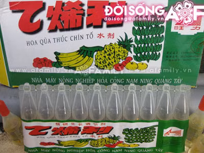 Loại thuốc "Thúc chín tố" mà chị Chung nhắc đến, để mua nó chúng tôi phải nhờ một số người nông dân "quen mặt" tại khu vực Xuân Mai (Chương Mỹ, Hà Nội).