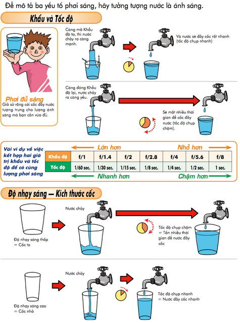 Cẩm nang sử dụng và hướng dẫn chụp ảnh kỹ thuật số cơ bản ảnh 2
