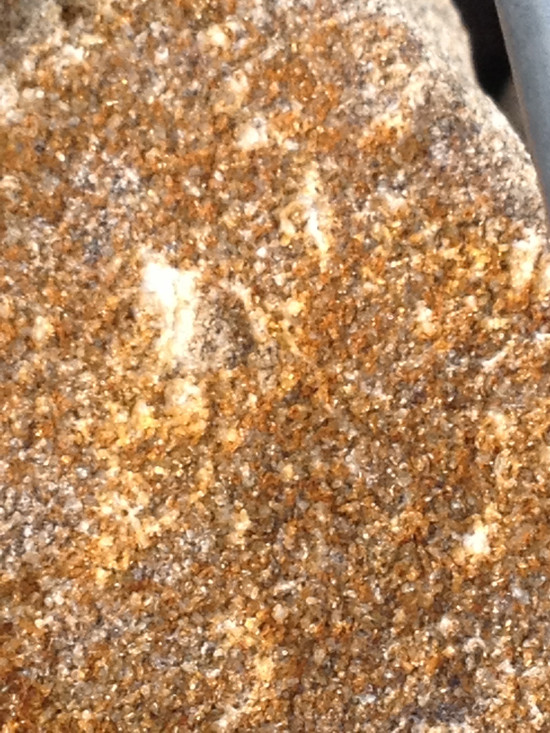 Ảnh bằng iPhone 4S lại cho màu bị cháy và khó quan sát. Ảnh bằng iPhone 4S lại cho màu bị cháy và khó quan sát.