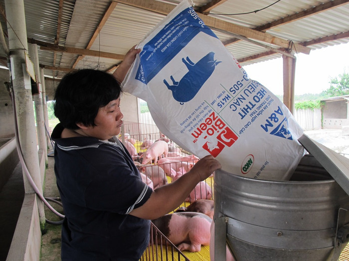“Xài cám có bổ sung hệ men tiêu hóa Bio-zeemTM thấy heo ăn khỏe, tiêu hóa tốt và lớn nhanh hơn”, chị Phượng nhận xét. “Xài cám có bổ sung hệ men tiêu hóa Bio-zeemTM thấy heo ăn khỏe, tiêu hóa tốt và lớn nhanh hơn”, chị Phượng nhận xét.