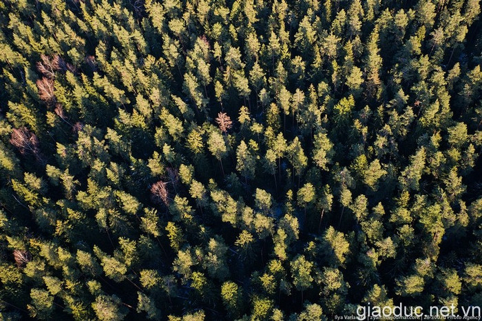 Khu vực Moscow nhìn từ máy bay trực thăng. Khu vực Moscow nhìn từ máy bay trực thăng.