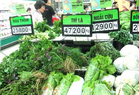 "Bản thân tôi không đồng ý với khái niệm Rau sạch hoặc Rau an toàn, bởi vì, không thể chấp nhận rau bẩn hoặc rau thiếu an toàn", GS Nguyễn Lân Dũng cho biết. "Bản thân tôi không đồng ý với khái niệm Rau sạch hoặc Rau an toàn, bởi vì, không thể chấp nhận rau bẩn hoặc rau thiếu an toàn", GS Nguyễn Lân Dũng cho biết.