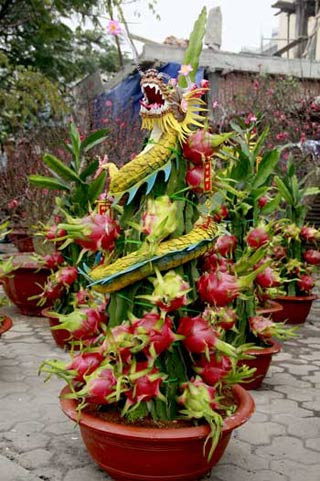 ... Giá mỗi chậu thanh long này là 6 triệu đồng. Chậu không có rồng giá từ 2-2,5 triệu đồng.