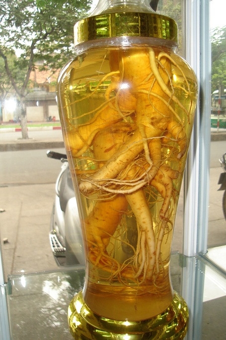 Rượu nhân sâm hiện bày bán khá nhiều với giá khoảng từ 1,2 - 3 triệu đồng/hủ tùy dung lượng, tuổi củ sâm. Giá sâm tươi Hàn Quốc và sâm tươi Trung Quốc chênh lệch nhau rất nhiều, mức chênh có khi gấp 5 lần. Rượu nhân sâm hiện bày bán khá nhiều với giá khoảng từ 1,2 - 3 triệu đồng/hủ tùy dung lượng, tuổi củ sâm. Giá sâm tươi Hàn Quốc và sâm tươi Trung Quốc chênh lệch nhau rất nhiều, mức chênh có khi gấp 5 lần.