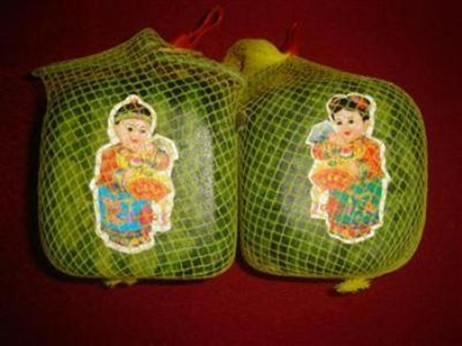 Dưa hấu vuông - đặc sản ĐBSCL, giá bán 2 triệu đồng/cặp. Ngoài các món hàng dễ nhận biết như dưa hấu vuông, bưởi hồ lô, những mặt hàng như: nhâm sâm, yến sào, nước yến, linh chi… nếu không rành và mua không đúng nơi rất dễ bị “tiền mất, tật mang”. Dưa hấu vuông - đặc sản ĐBSCL, giá bán 2 triệu đồng/cặp. Ngoài các món hàng dễ nhận biết như dưa hấu vuông, bưởi hồ lô, những mặt hàng như: nhâm sâm, yến sào, nước yến, linh chi… nếu không rành và mua không đúng nơi rất dễ bị “tiền mất, tật mang”.