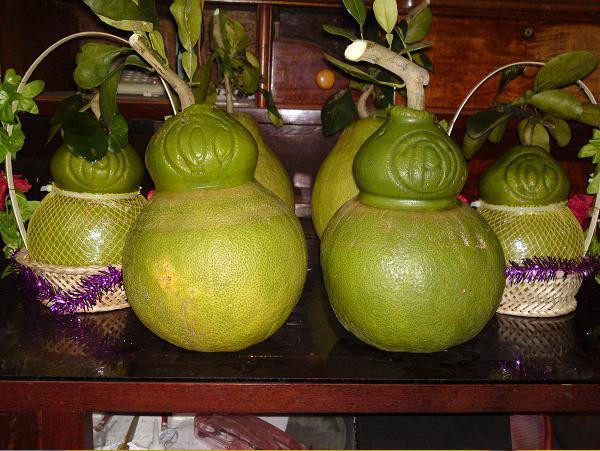 Với những loại quả như bưởi hồ lô có tính chất trang trí thế này, theo TS Thanh, nếu thấy có bất cứ hiện tượng gì lạ, khác thường, người tiêu dùng không nên sử dụng. Ảnh minh họa. Với những loại quả như bưởi hồ lô có tính chất trang trí thế này, theo TS Thanh, nếu thấy có bất cứ hiện tượng gì lạ, khác thường, người tiêu dùng không nên sử dụng. Ảnh minh họa.