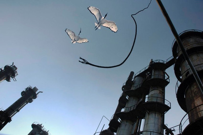 Hình ảnh chộp khoảnh khắc loài chim sếu bay trên nóc nhà máy công nghiệp của Juan Carlos, 13 tuổi từ Tây Ban Nha.