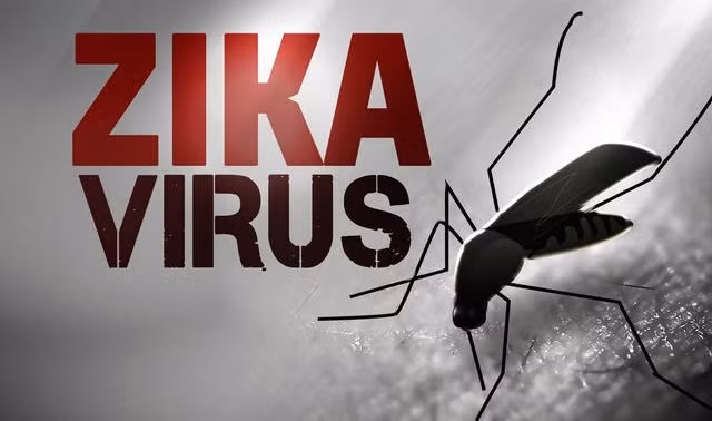 Cả nước đã ghi nhận 07 trường hợp nhiễm vi rút Zika tại TP. Hồ Chí Minh. Ảnh minh họa.