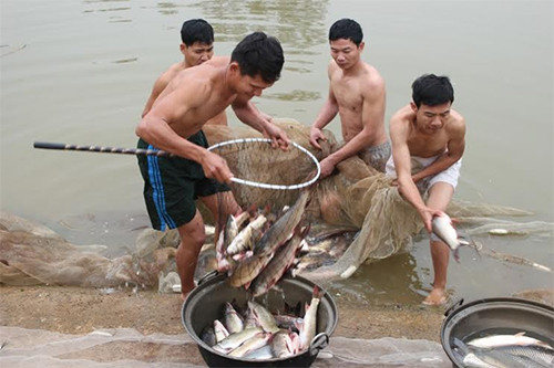 Nhờ tích cực tăng gia sản xuất, Tết này, bữa ăn của cán bộ, chiến sĩ xe tăng sẽ thêm đủ đầy. Nhờ tích cực tăng gia sản xuất, Tết này, bữa ăn của cán bộ, chiến sĩ xe tăng sẽ thêm đủ đầy.