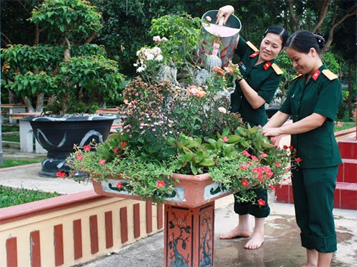 Chăm chút cho cây cảnh thêm đẹp trong ngày Tết Chăm chút cho cây cảnh thêm đẹp trong ngày Tết