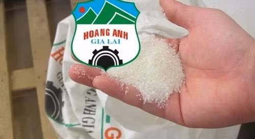 Giá đường của Hoàng Anh Gia Lai - công ty của bầu Đức chỉ bằng 1/4 giá đường trong nước.