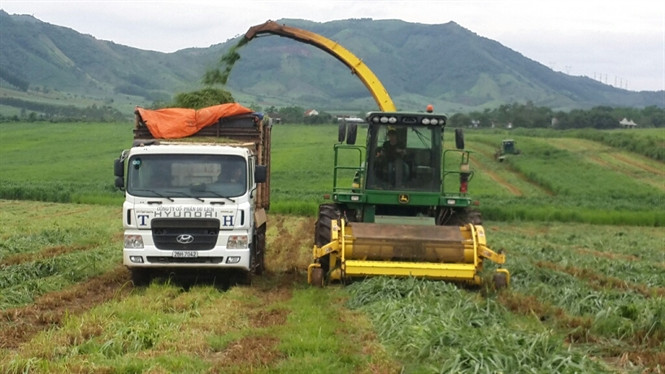 Xe chuyên dụng của TH đang thu hoạch cỏ Mombasa tại Nghĩa Đàn... Xe chuyên dụng của TH đang thu hoạch cỏ Mombasa tại Nghĩa Đàn...