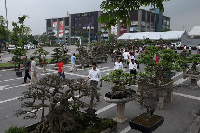 Cây cảnh độc tiền tỷ hội tụ tại Khu đô thị Sinh thái Vinhomes Riverside Long Biên. Cây cảnh độc tiền tỷ hội tụ tại Khu đô thị Sinh thái Vinhomes Riverside Long Biên.