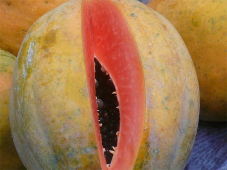 Dùng hóa chất Trung Quốc, đu đủ chín vàng đều, ruột đỏ rất bắt mắt. Dùng hóa chất Trung Quốc, đu đủ chín vàng đều, ruột đỏ rất bắt mắt.