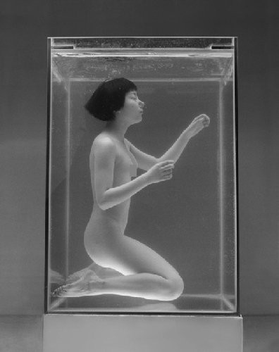 “Hay là trốn trong thế giới của mình?”