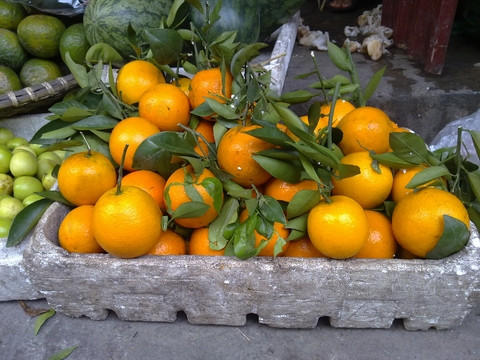 Cam Trung Quốc đang được mạo danh là cam Việt Nam để lừa người tiêu dùng