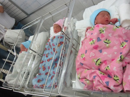 Hai bé trai (mũ màu xanh) và bé gái (mũ màu hồng) có cân nặng lần lượt là 2kg; 1,8kg và 1,5kg. Ảnh TN