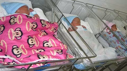 3 bé trong ca sinh 5 đã khỏe, được nằm chung phòng với các bé sơ sinh khác ở khoa Dưỡng nhi. Ảnh : Thanh Huyền.