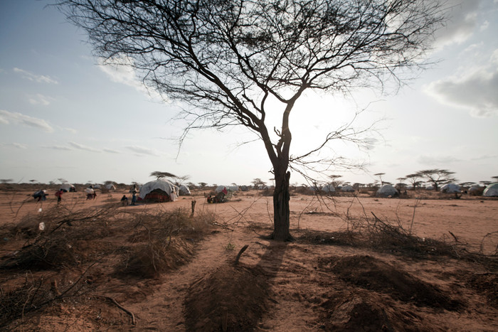Khu vực Sừng Châu Phi nghèo đói hiện nay đang phải chịu đựng thảm kịch hạn hán và mất mùa tồi tệ nhất trong vòng 100 năm qua. Khu vực Sừng Châu Phi nghèo đói hiện nay đang phải chịu đựng thảm kịch hạn hán và mất mùa tồi tệ nhất trong vòng 100 năm qua.
