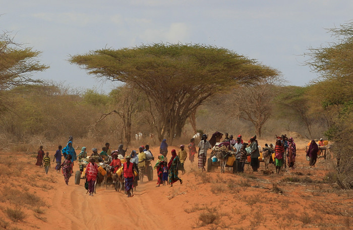 Khu vực Sừng Châu Phi nghèo đói hiện nay đang phải chịu đựng thảm kịch hạn hán và mất mùa tồi tệ nhất trong vòng 100 năm qua. Khu vực Sừng Châu Phi nghèo đói hiện nay đang phải chịu đựng thảm kịch hạn hán và mất mùa tồi tệ nhất trong vòng 100 năm qua.