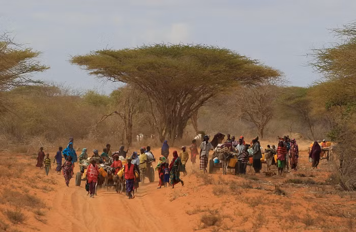 Khu vực Sừng Châu Phi nghèo đói hiện nay đang phải chịu đựng thảm kịch hạn hán và mất mùa tồi tệ nhất trong vòng 100 năm qua.