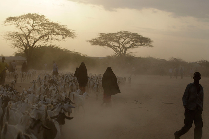 Khu vực Sừng Châu Phi nghèo đói hiện nay đang phải chịu đựng thảm kịch hạn hán và mất mùa tồi tệ nhất trong vòng 100 năm qua. Khu vực Sừng Châu Phi nghèo đói hiện nay đang phải chịu đựng thảm kịch hạn hán và mất mùa tồi tệ nhất trong vòng 100 năm qua.