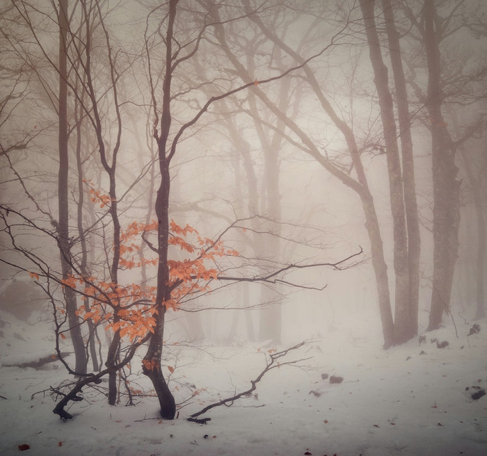 Mùa đông trên bán đảo Crimea