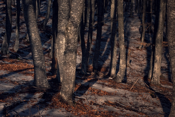 Mùa đông trên bán đảo Crimea