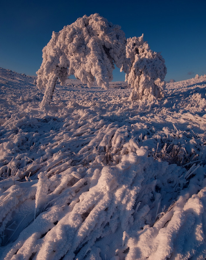 Mùa đông trên bán đảo Crimea