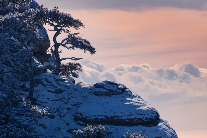 Mùa đông trên bán đảo Crimea