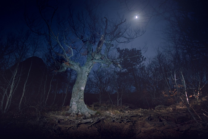 Mùa đông trên bán đảo Crimea