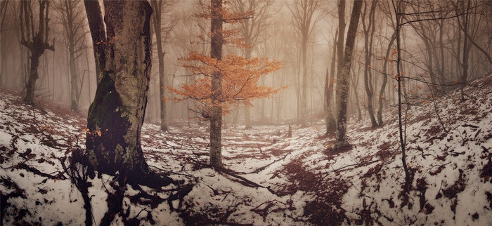 Mùa đông trên bán đảo Crimea