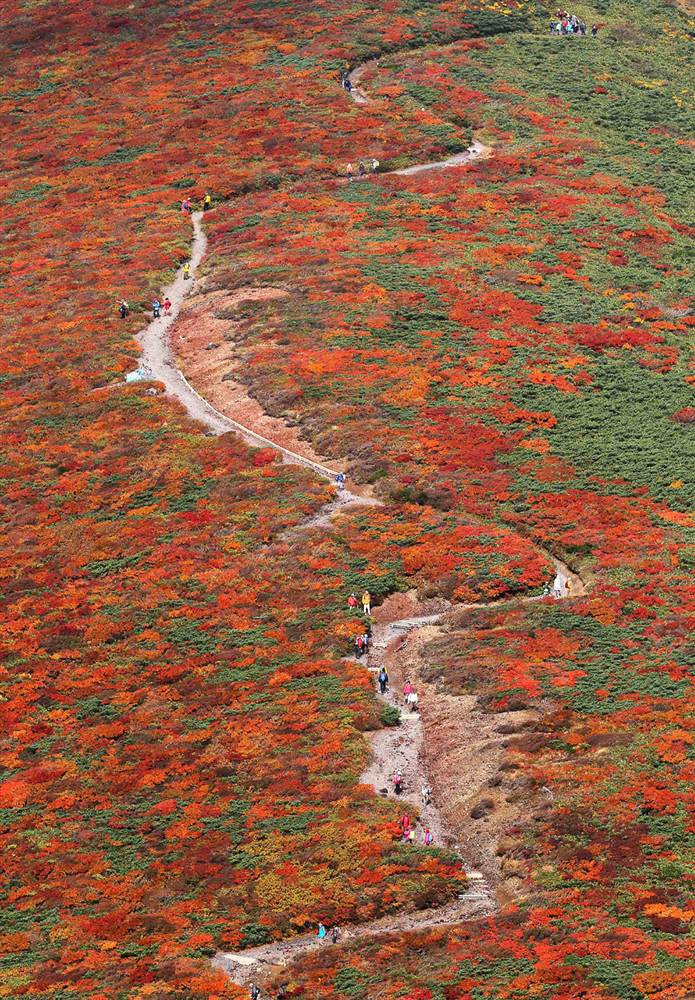 Cuối thu ở núi Kurikoma , Kurihara, Nhật Bản. Cuối thu ở núi Kurikoma , Kurihara, Nhật Bản.
