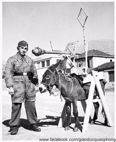 Vũ khí lợi hại