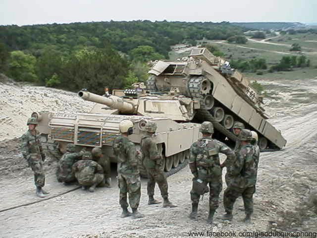 Đây là một đôi tăng đực - cái?