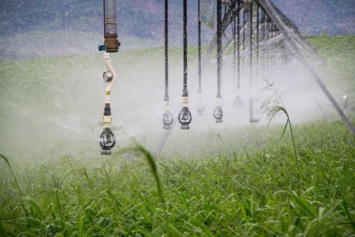 Hệ thống tưới nước tự động tại trang trại TH.