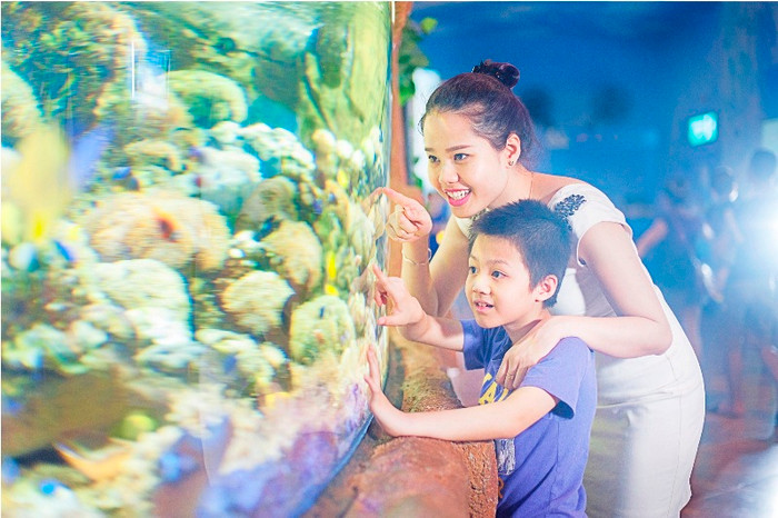 Vinpearlland Aquarium trở thành điểm đến bổ ích, nơi các thành viên trong gia đình hay các nhóm bạn cùng nhau tham quan, khám phá thể giới đại dương đầy bí ẩn.