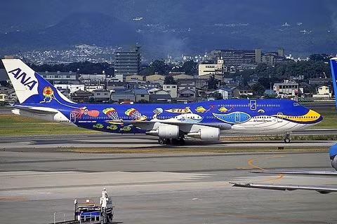 Còn hãng hàng không Nhật Bản ANA nó thành phiên bản biết bay của cá voi xanh...