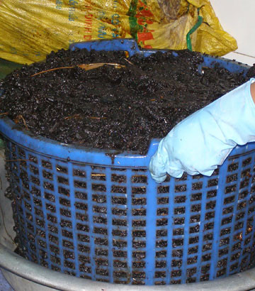 Cho vào dung dịch ướp. Cho vào dung dịch ướp.