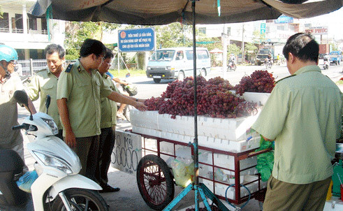 Lực lượng quản lý thị trường đang kiểm tra nho giá rẻ Lực lượng quản lý thị trường đang kiểm tra nho giá rẻ