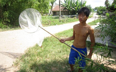 Một thanh niên ở xóm 10, phường Đại Nài vừa sắm được chiếc vợt lưới để săn ong bán, kiếm tiền tiêu. Anh cho biết, hôm nào hên thì chỉ vài ba tiếng là kiếm được 500 nghìn. Một thanh niên ở xóm 10, phường Đại Nài vừa sắm được chiếc vợt lưới để săn ong bán, kiếm tiền tiêu. Anh cho biết, hôm nào hên thì chỉ vài ba tiếng là kiếm được 500 nghìn.