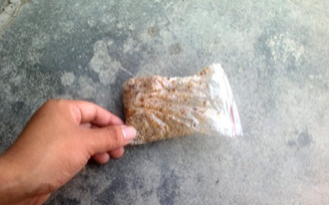 Mồi nhử ong được bán với giá 50 nghìn/1 lạng. Người dân chẳng biết làm từ chất gì nhưng có tác dụng ghê gớm Mồi nhử ong được bán với giá 50 nghìn/1 lạng. Người dân chẳng biết làm từ chất gì nhưng có tác dụng ghê gớm