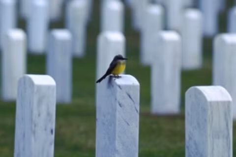 Google thường xuyên đưa ra những phúc lợi rất hào phóng cho các nhân viên của hãng.