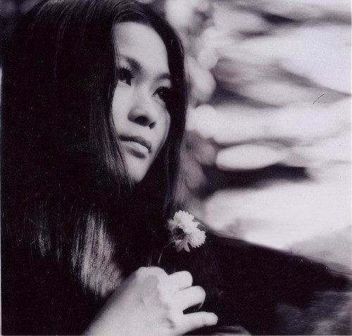 Năm 1962, Khánh Ly thực sự bước chân vào sự nghiệp ca hát, cô hát cho phòng trà Anh Vũ trên đường Bùi Viện, Sài Gòn. Cuối năm đó cô chuyển lên sống tại Đà Lạt và hát cho các phòng trà. Năm 1964, Khánh Ly gặp nhạc sĩ Trịnh Công Sơn, lúc đó còn chưa nổi tiếng, ông mời cô về Sài Gòn biểu diễn. Lúc này vì không muốn rời Đà Lạt nên Khánh Ly từ chối lời đề nghị của người nhạc sĩ trẻ. Năm 1962, Khánh Ly thực sự bước chân vào sự nghiệp ca hát, cô hát cho phòng trà Anh Vũ trên đường Bùi Viện, Sài Gòn. Cuối năm đó cô chuyển lên sống tại Đà Lạt và hát cho các phòng trà. Năm 1964, Khánh Ly gặp nhạc sĩ Trịnh Công Sơn, lúc đó còn chưa nổi tiếng, ông mời cô về Sài Gòn biểu diễn. Lúc này vì không muốn rời Đà Lạt nên Khánh Ly từ chối lời đề nghị của người nhạc sĩ trẻ.