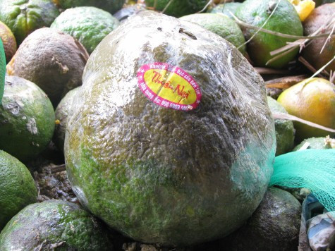 Nhiều loại quả chưa tới tay người dùng đã thối, hỏng nhưng vẫn được bày bán và vẫn có người hỏi mua.