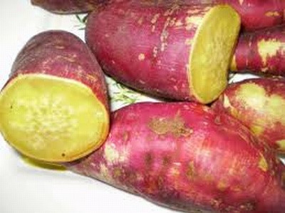 Ảnh minh họa. Ảnh minh họa.