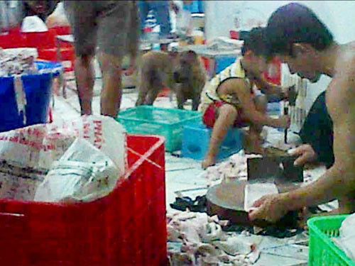 Da thối vứt ngổn ngang dưới sàn nhà bẩn thỉu, nhếch nhác