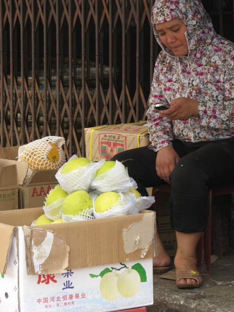 Không chỉ hồng, táo, dưa vàng "made in China" mà đa phần quả lê cũng không ngoại lệ.